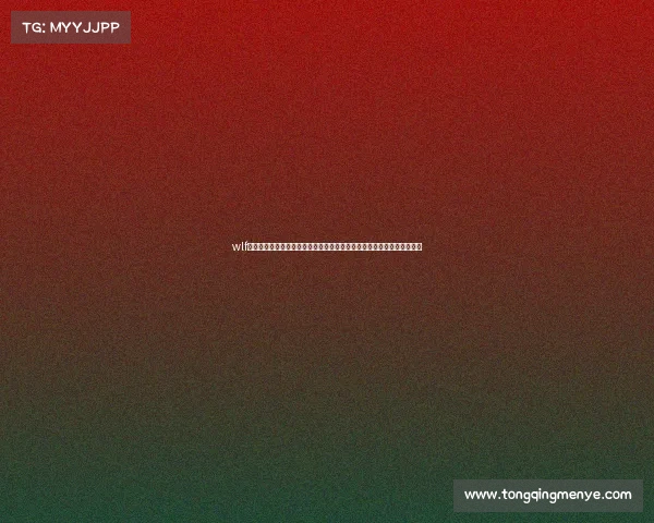 wlf赛事总监肩负重任统筹全球格斗赛事保障公平竞争推动运动文化繁荣发展