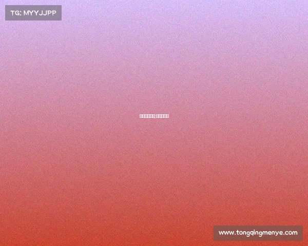 中山拳击赛事;中山拳击馆