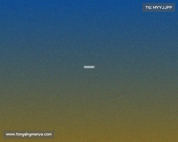 少年组拳击比赛